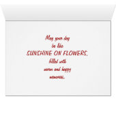 Gazania Cards (Inside Horizontal (Bottom))