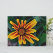 Gazania flower (Standing Front)