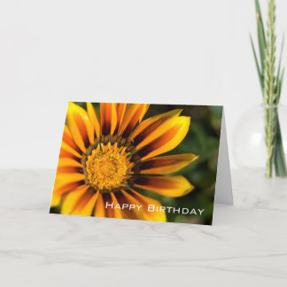 Gazania | Happy Birthday Card