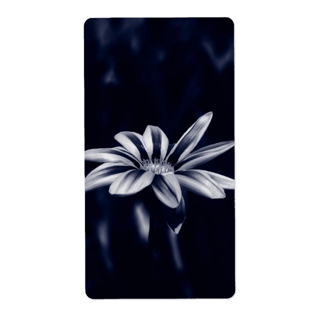 GAZANIA LABEL (Front)