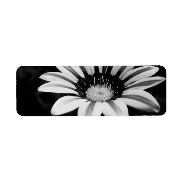 GAZANIA LABEL (Front)