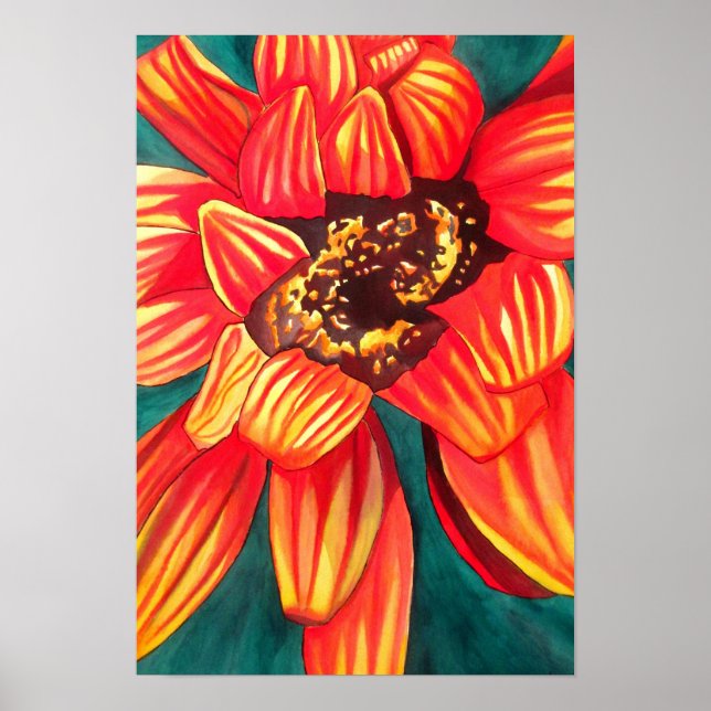 Gazania South African flower watercolour art Poster (Front)