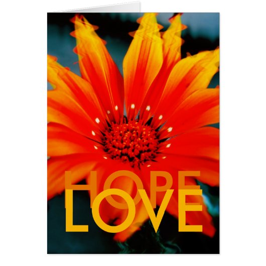 GAZANIART Card (Front)