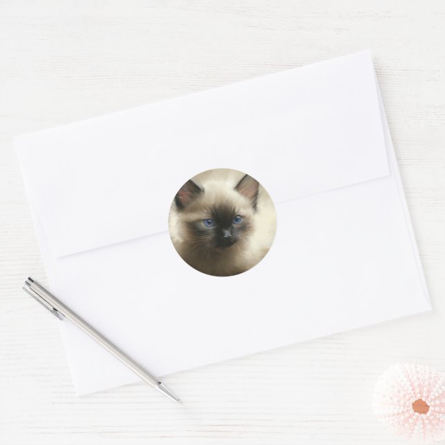 Gaze Of Innocence Siamese Kitten Portrait Classic Round Sticker (Envelope)