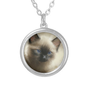 Gaze Of Innocence Siamese Kitten Portrait Silver Plated Necklace