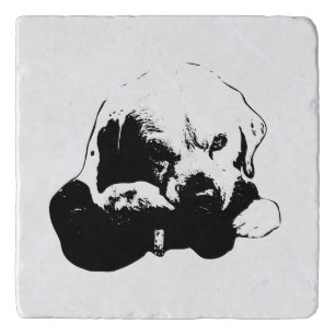 Gaze that Guards Trivet