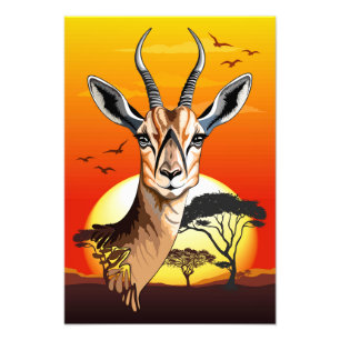 Gazelle African Antelope Wild Animal Photo Print