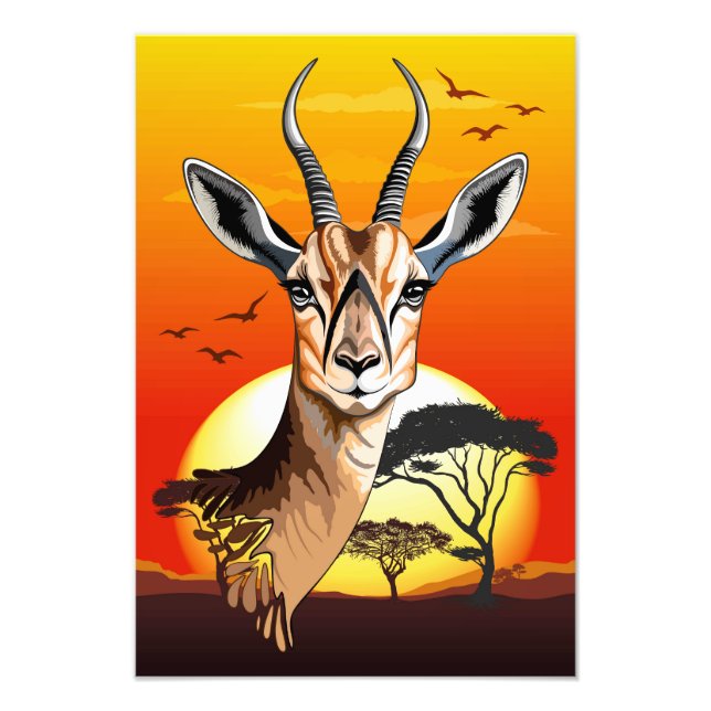 Gazelle African Antelope Wild  Animal Photo Print (Front)