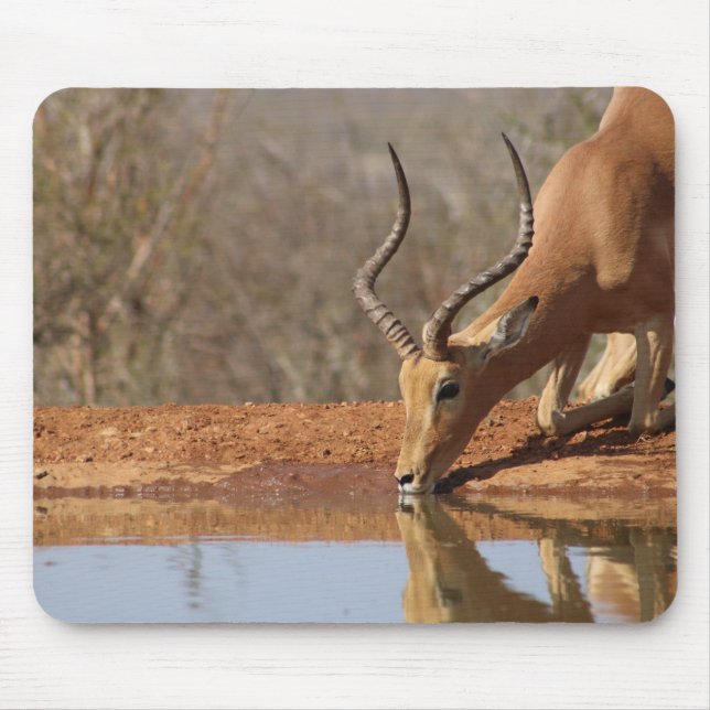 Gazelle Mouse Pad (Front)