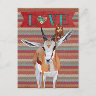 GAZELLE & OWL VALENTINE'S Postcard