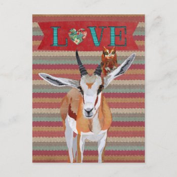 Gazelle & Owl Valentine's Postcard by Greyszoo at Zazzle