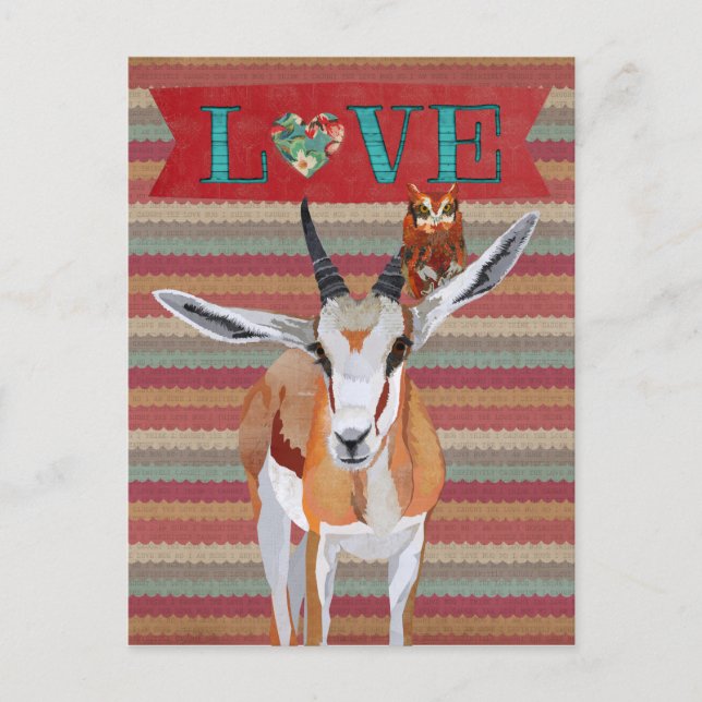 GAZELLE & OWL VALENTINE'S Postcard (Front)