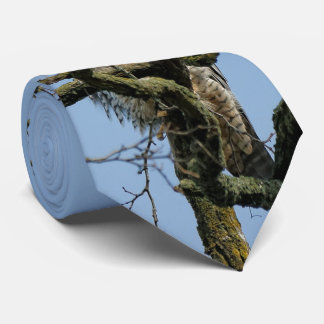 Gazing at a Majestic Peregrine Falcon Neck Tie