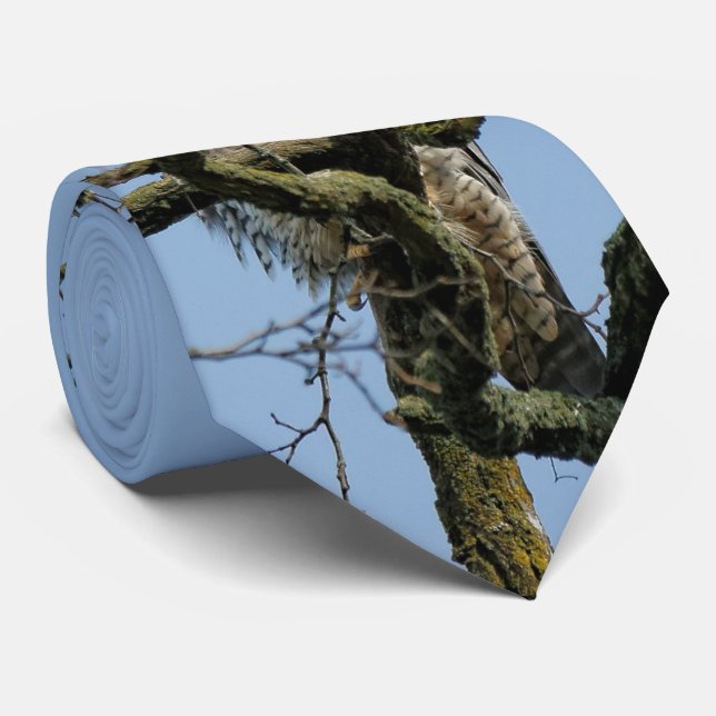 Gazing at a Majestic Peregrine Falcon Neck Tie (Rolled)