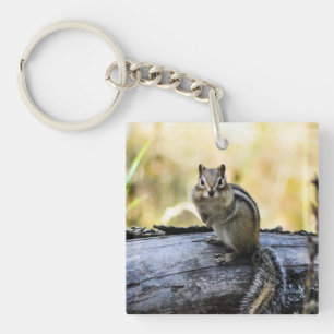 Gazing Chipmunk Keychain