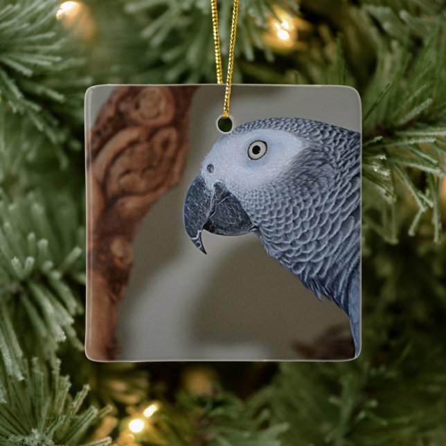Gazing Congo African Grey Parrot Ceramic Ornament (Tree)