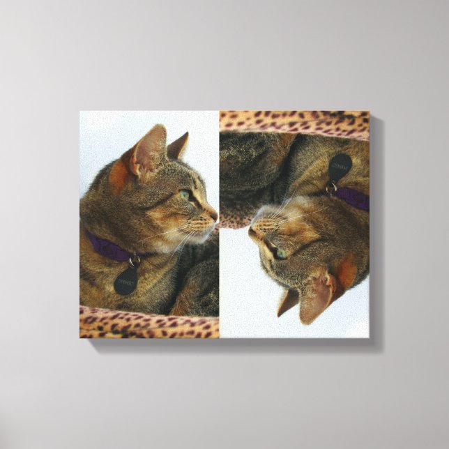 Gazing Indigo Canvas Print (Front)