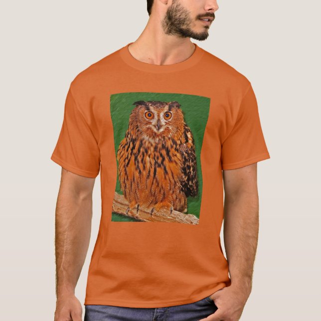 Gazing Owl T-Shirt (Front)