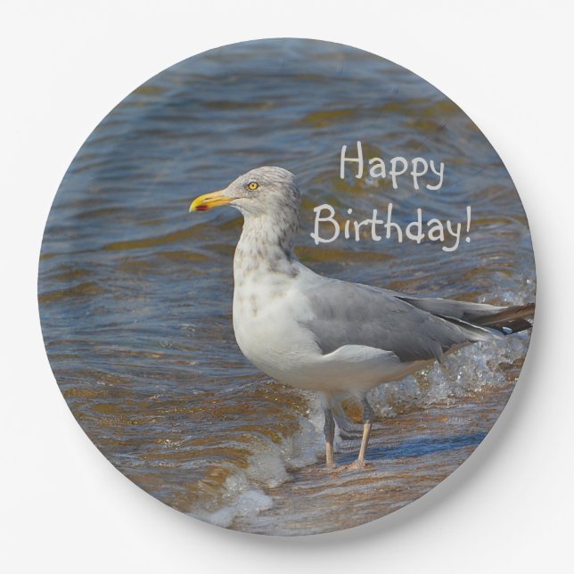 Gazing Seagull Paper Plates (Front)