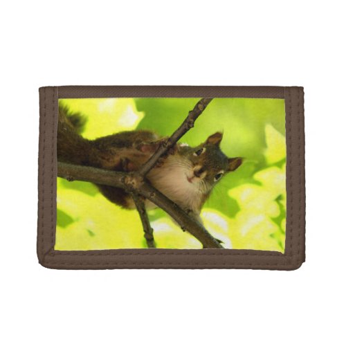 Gazing Squirrel Trifold Wallet