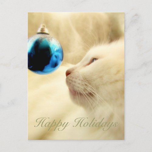 Gazing Upon A Blue Star Holiday Postcard