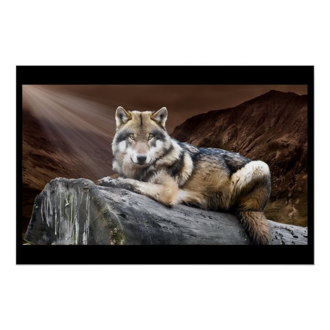 Gazing Wolf Poster (Front)