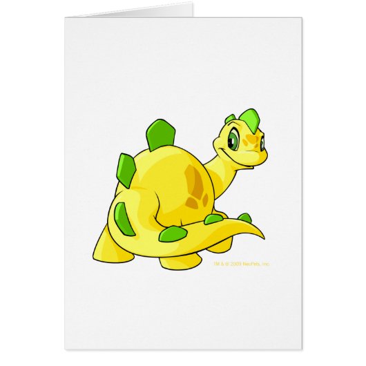 Gazing yellow Chomby Cards (Front)