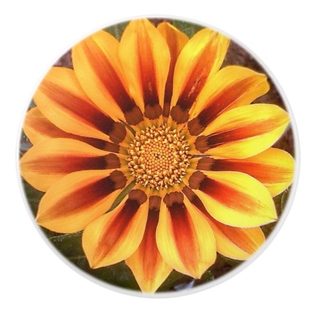 Gazonia Flower Door Knob (Front)