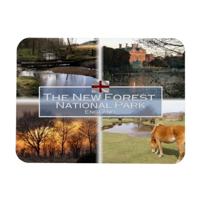 GB United Kingdom - England - The New Forest N.P - Magnet (Horizontal)
