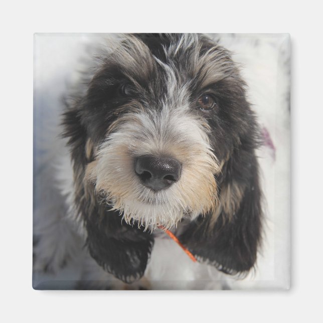 GBGV Puppy Magnet (Front)