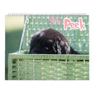 GCH Notta Bears Piqued My Interest Calendar