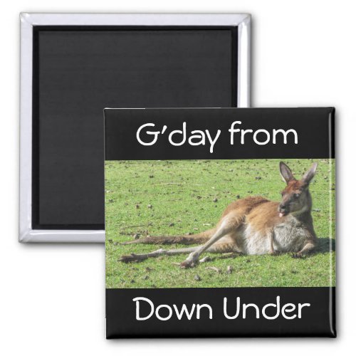 Gday from Down Under Kangaroo Magnet