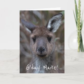 G'Day Mate Kangaroo Australia