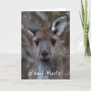 G'Day Mate Kangaroo Australia Card