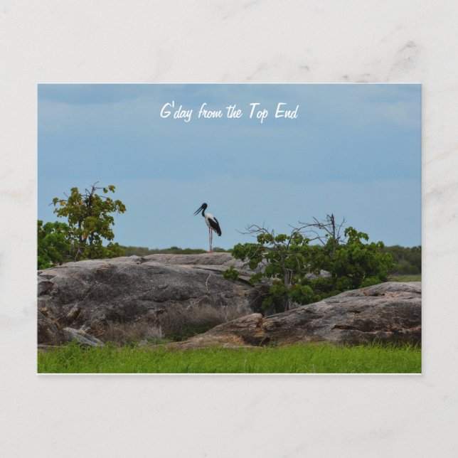 G'day Postcard (Front)