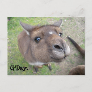 G'Day. Postcard