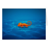 Gecko (Front Horizontal)