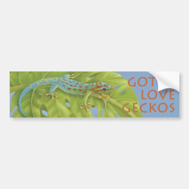 Gecko Bumper Sticker (Front)