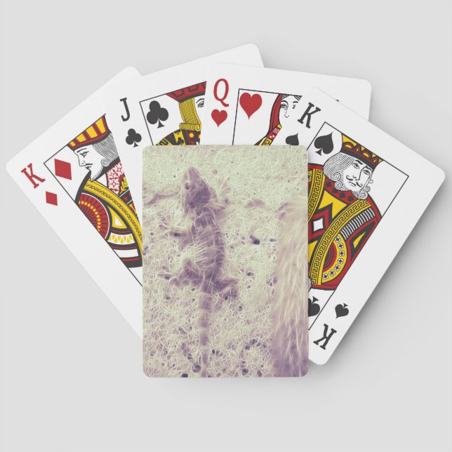 Gecko caught in a canvas poker cards (Back)
