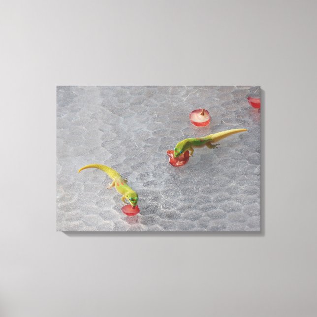Gecko cocktail hour two piece canvas set print (Front)