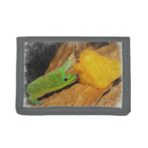 Gecko enjoying Peaches