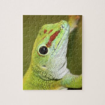 Gecko Face Jigsaw Puzzle by deemac1 at Zazzle