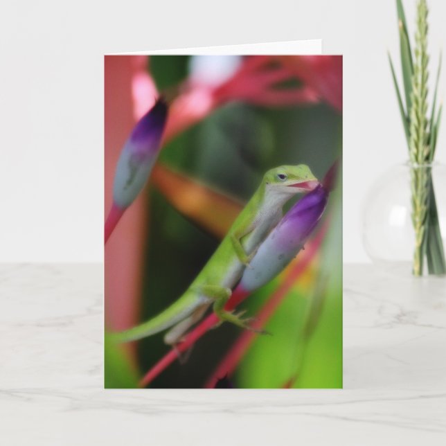 Gecko Greeting Card (Front)