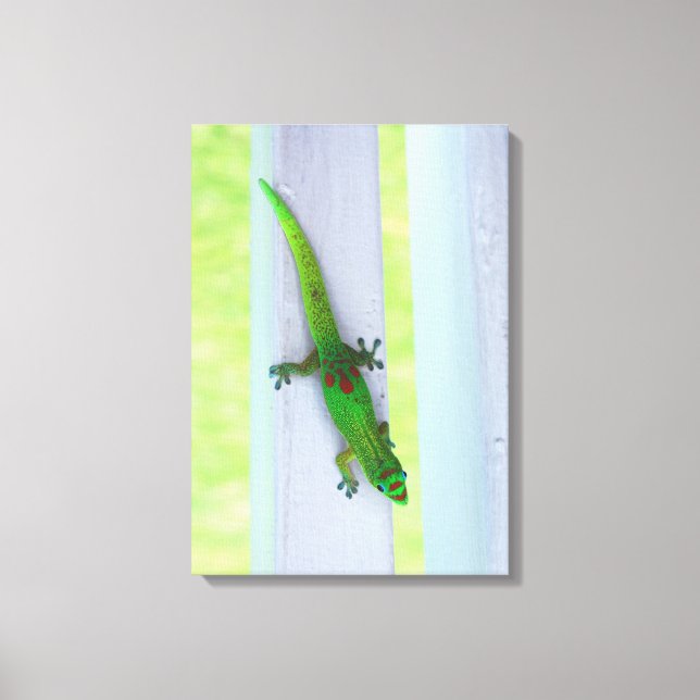 Gecko in Hawaii - Vertical Canvas (Front)