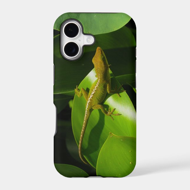 Gecko Iphone Case (Back)