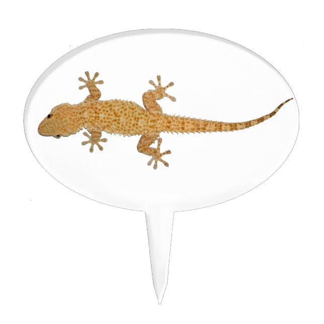 gecko lizard cake topper (Front)