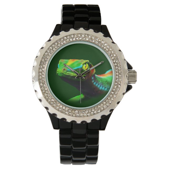 Gecko Lizard Rainbow Colors Watch (Front)