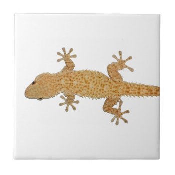 Gecko Lizard Tile by sirylok at Zazzle