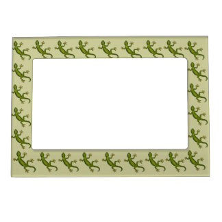 Gecko Magnetic Frame