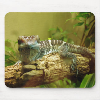 Gecko Mousepad